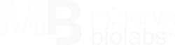 Minerva Biolabs