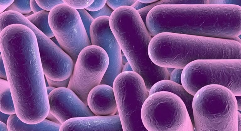 Patentability Of Microorganism
