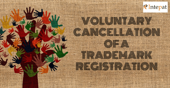 Voluntary Cancellation Of A Trademark Registration