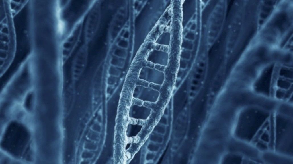 DNA an Intellectual Property – Gene Patenting