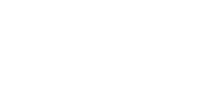 Wheels India Limited