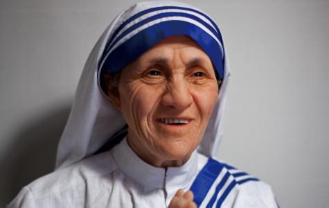 Mother Teresa Sari Trademark