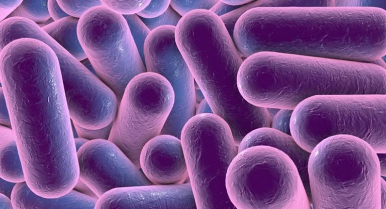 Patentability Of Microorganism