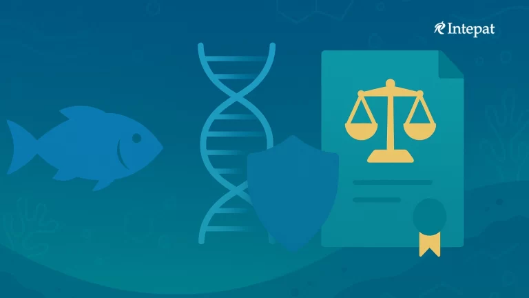 Intellectual Property Rights and Marine Biodiversity